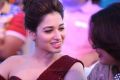 Actress Tamanna @ Baahubali Audio Launch Photos