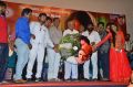 Baanu Movie Audio Launch Stills