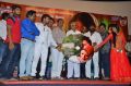 Baanu Movie Audio Launch Stills