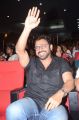 Victory Venkatesh @ Babu Bangaram Movie Audio Launch Stills