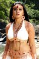 Actress Anushka Hot in Bad Boy Movie Photos