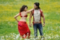 Allu Arjun Tamanna Badrinath Movie Latest Stills