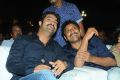 Jr NTR, Srinu Vytla at Badshah Audio Launch Photos