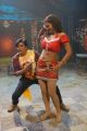 Ali, Shalini Naidu in Bakara Movie Item Song Hot Stills