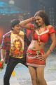 Ali dancing with Hot Item Girl for Bakara Movie Stills