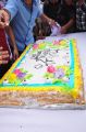 Actor Balakrishna 2013 Birthday Celebrations Photos