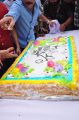 Actor Balakrishna 2013 Birthday Celebrations Photos