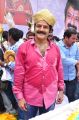 Actor Balakrishna 53rd Birthday Celebrations Photos