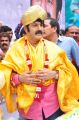 Actor Balakrishna 2013 Birthday Celebrations Photos