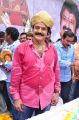 Actor Balakrishna 2013 Birthday Celebrations Photos