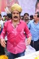 Actor Balakrishna 53rd Birthday Celebrations Photos