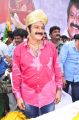 Actor Balakrishna 2013 Birthday Celebrations Photos