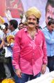 Actor Balakrishna 2013 Birthday Celebrations Photos