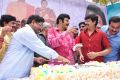 Actor Balakrishna 2013 Birthday Celebrations Photos