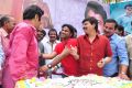 Actor Balakrishna 2013 Birthday Celebrations Photos