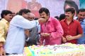 Telugu Actor Balakrishna 2013 Birthday Celebrations Photos