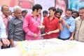 Actor Balakrishna Birthday Celebration 2013 Photos