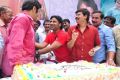 Actor Balakrishna Birthday Celebration 2013 Photos