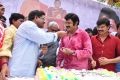 Actor NBK Birthday 2013 Celebrations Photos