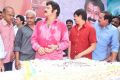 Actor Balakrishna 2013 Birthday Celebrations Photos