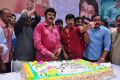 Actor NBK Birthday 2013 Celebrations Photos