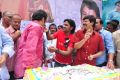 Telugu Actor Balakrishna 2013 Birthday Celebrations Photos