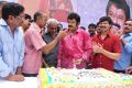 Actor Balakrishna 2013 Birthday Celebrations Photos