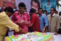 Actor Balakrishna Birthday Celebration 2013 Photos