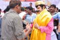 Telugu Actor Balakrishna 2013 Birthday Celebrations Photos