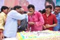 Actor Balakrishna 2013 Birthday Celebrations Photos