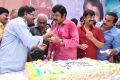 Actor Nandamuri Balakrishna 2013 Birthday Celebrations Photos