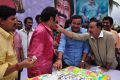 Actor Balakrishna Birthday Celebration 2013 Photos