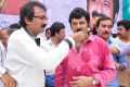 Telugu Actor Balakrishna 2013 Birthday Celebrations Photos