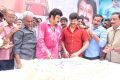 Actor Nandamuri Balakrishna 2013 Birthday Celebrations Photos