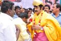 Actor Balakrishna Birthday Celebration 2013 Photos