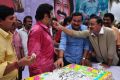 Actor Nandamuri Balakrishna Birthday 2013 Celebrations Photos