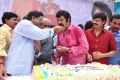 Actor Balakrishna 2013 Birthday Celebrations Photos