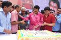 Actor Balakrishna 2013 Birthday Celebrations Photos