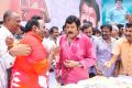 Actor Balakrishna Birthday Celebration 2013 Photos