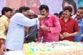 Actor Balakrishna 2013 Birthday Celebrations Photos