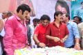 Actor Balakrishna Birthday Celebration 2013 Photos