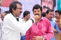 Actor Nandamuri Balakrishna 2013 Birthday Celebrations Photos