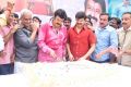 Actor Balakrishna Birthday Celebration 2013 Photos