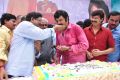 Telugu Actor Balakrishna 2013 Birthday Celebrations Photos