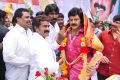 Actor Balakrishna Birthday Celebration 2013 Photos