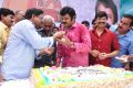 Telugu Actor Balakrishna 2013 Birthday Celebrations Photos