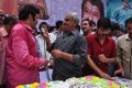 Actor Balakrishna Birthday Celebration 2013 Photos