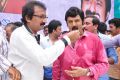 Telugu Actor Balakrishna 2013 Birthday Celebrations Photos