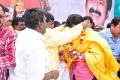 Actor Balakrishna Birthday Celebration 2013 Photos