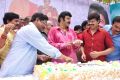 Actor Nandamuri Balakrishna Birthday 2013 Celebrations Photos